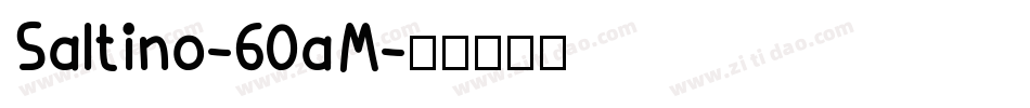 Saltino-60aM字体转换