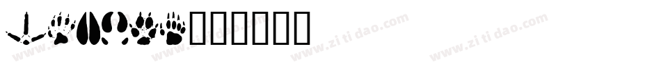 TRACKS字体转换