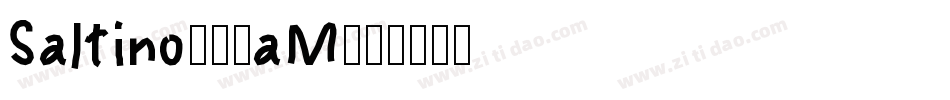 Saltino-60aM字体转换
