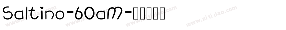 Saltino-60aM字体转换