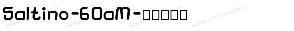 Saltino-60aM字体转换
