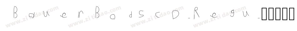 BauerBodSCD-Regu字体转换