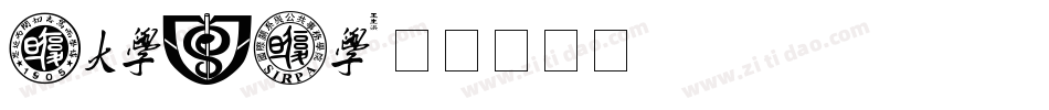 Danzin字体转换