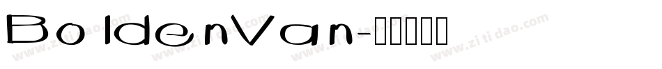 BoldenVan字体转换
