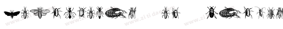 Cornucopia-of-Dingbats-Four字体转换