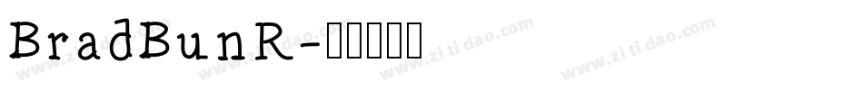 BradBunR字体转换