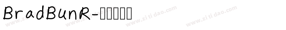 BradBunR字体转换