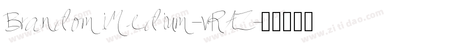 BrandomiMedium-vRAZ字体转换