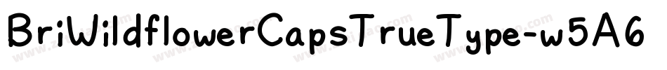 BriWildflowerCapsTrueType-w5A6字体转换