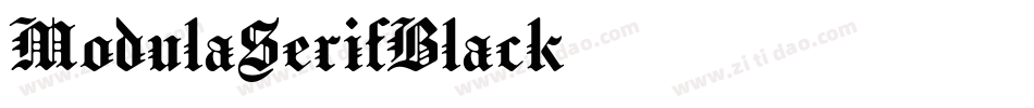 ModulaSerifBlack字体转换