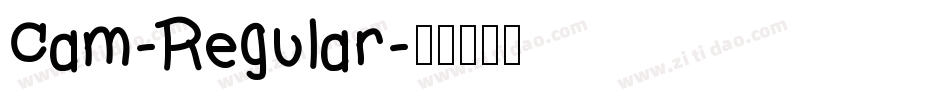 Cam-Regular字体转换