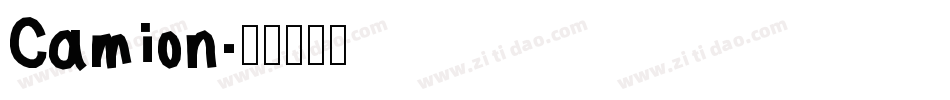 Camion字体转换