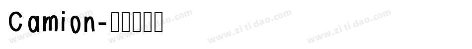 Camion字体转换