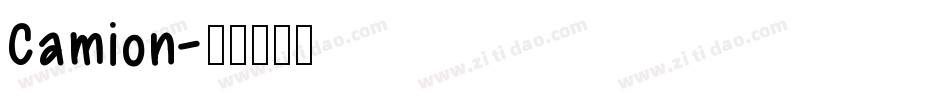 Camion字体转换