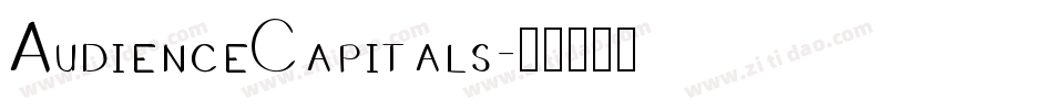 AudienceCapitals字体转换