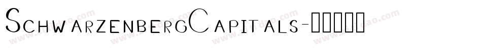 SchwarzenbergCapitals字体转换
