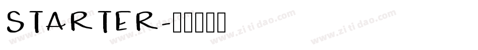 STARTER字体转换
