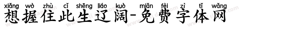 想握住此生辽阔字体转换