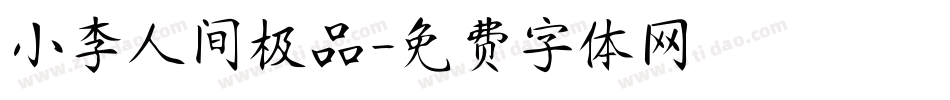 小李人间极品字体转换