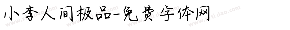 小李人间极品字体转换