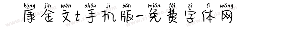 華康金文t手机版字体转换