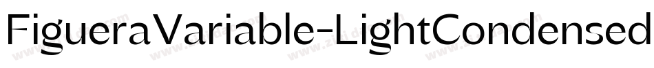FigueraVariable-LightCondensed字体转换
