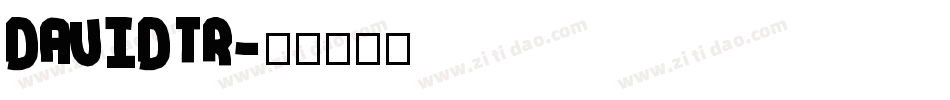 DAVIDTR字体转换