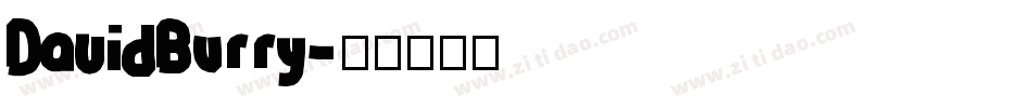 DavidBurry字体转换
