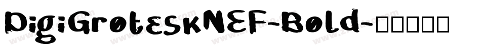DigiGroteskNEF-Bold字体转换