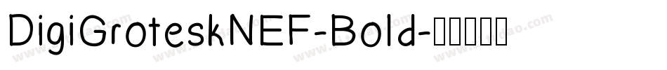 DigiGroteskNEF-Bold字体转换