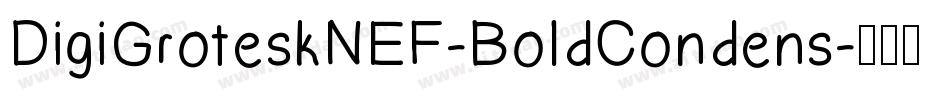 DigiGroteskNEF-BoldCondens字体转换