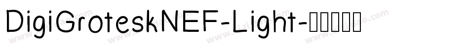DigiGroteskNEF-Light字体转换