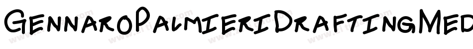 GennaroPalmieriDraftingMedium-9020字体转换