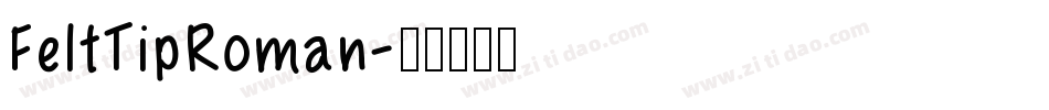 FeltTipRoman字体转换