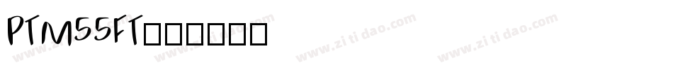 PTM55FT字体转换