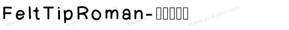 FeltTipRoman字体转换