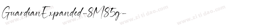 GuardianExpanded-8M85g字体转换
