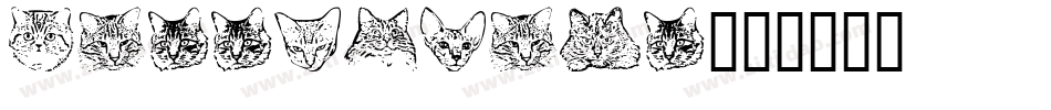 kittyprint字体转换