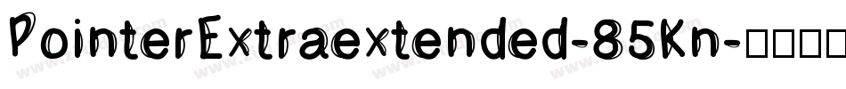 PointerExtraextended-85Kn字体转换