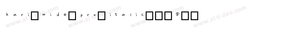 kari-wide-pro-italic字体转换