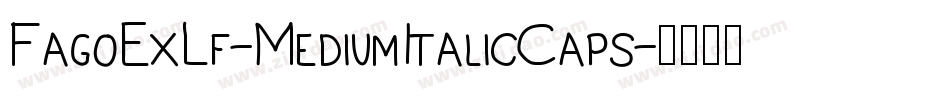 FagoExLf-MediumItalicCaps字体转换