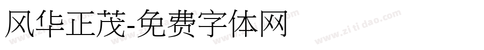 风华正茂字体转换