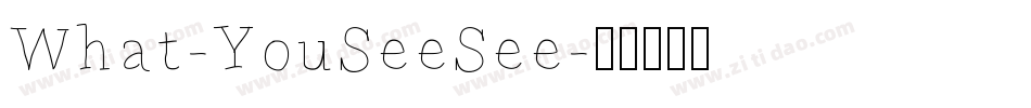 What-YouSeeSee字体转换