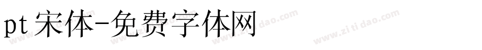 pt宋体字体转换