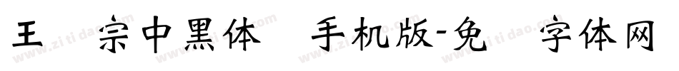 王汉宗中黑体简手机版字体转换