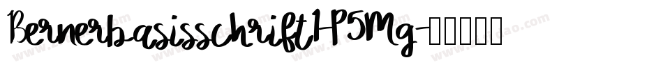 Bernerbasisschrift1-P5Mg字体转换