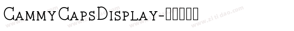 CammyCapsDisplay字体转换