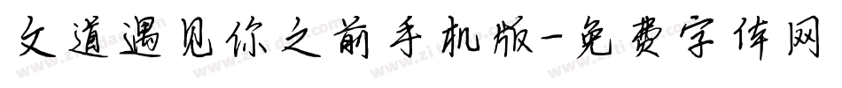 文道遇见你之前手机版字体转换