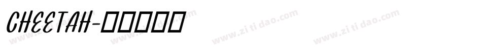 CHEETAH字体转换
