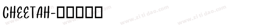 CHEETAH字体转换